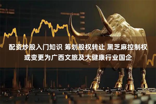 配资炒股入门知识 筹划股权转让 黑芝麻控制权或变更为广西文旅及大健康行业国企